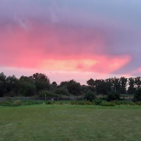 Agroturystyka Tam Gdzie Sosny Scinawka Dolna Exterior photo